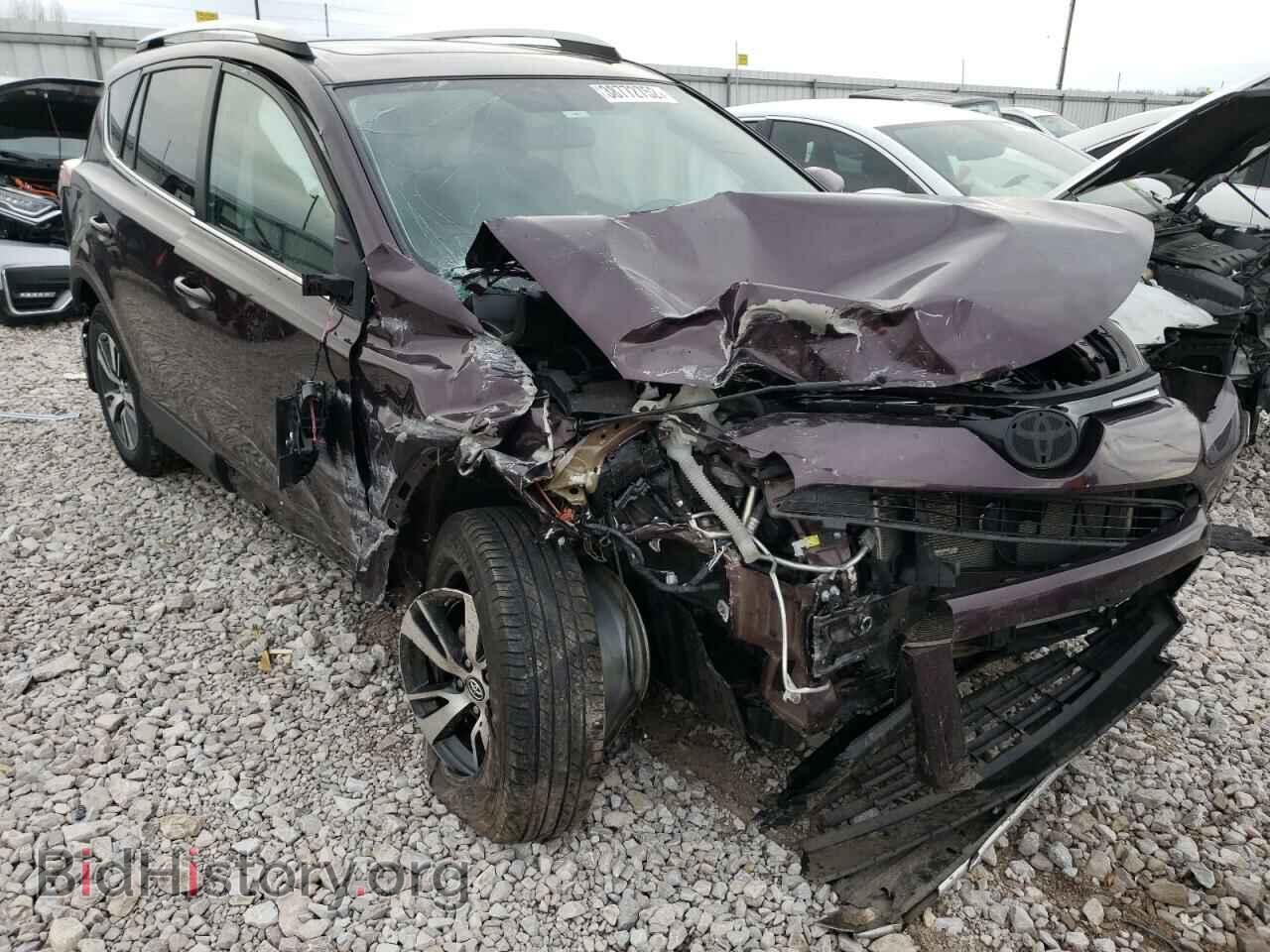Photo 2T3WFREV8GW288714 - TOYOTA RAV4 2016