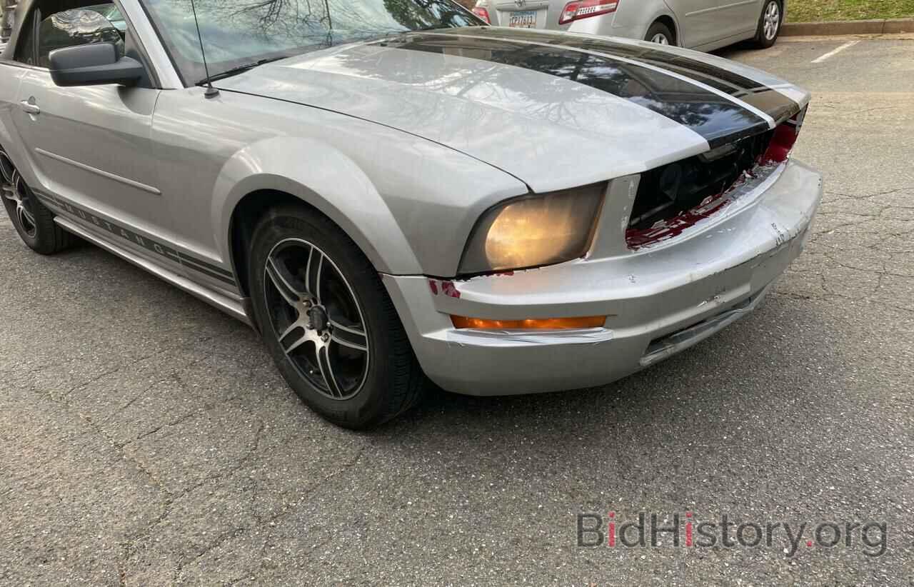Photo 1ZVHT84N485155337 - FORD MUSTANG 2008