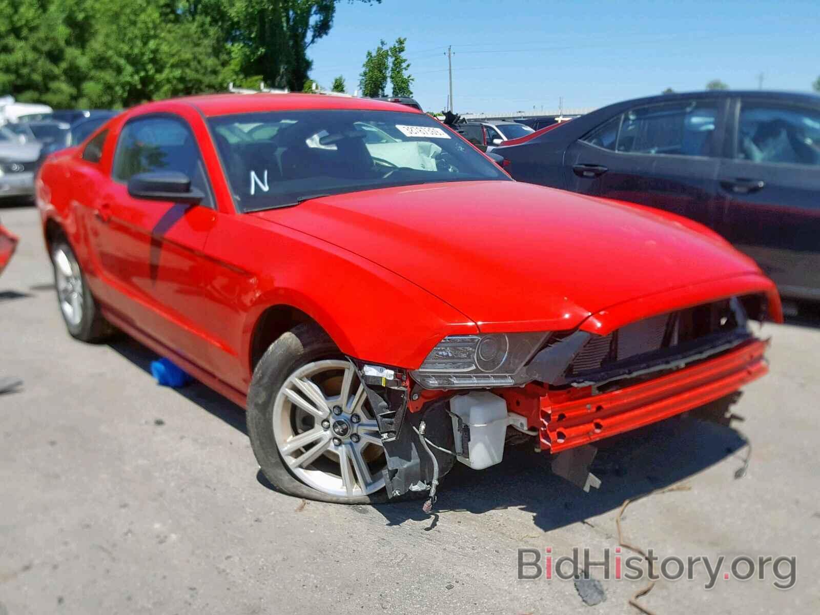 Photo 1ZVBP8AM3D5265702 - FORD MUSTANG 2013