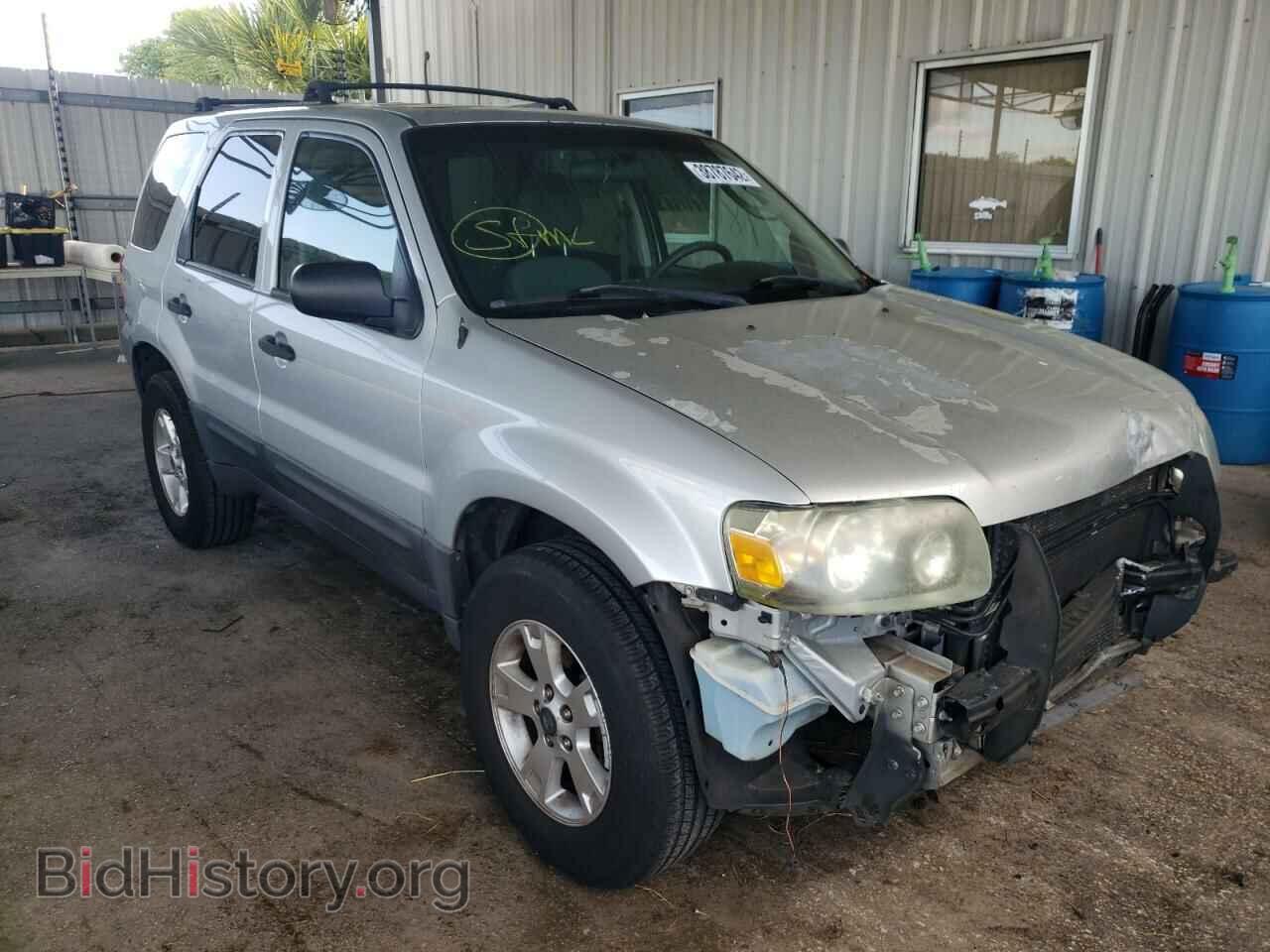 Photo 1FMYU03Z87KB36498 - FORD ESCAPE 2007