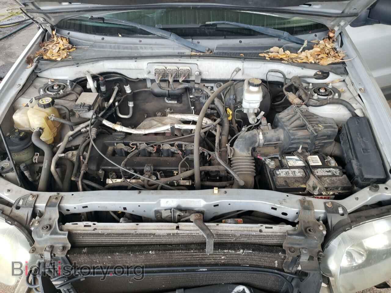 2007 FORD ESCAPE - VIN: 1FMYU03Z87KB36498 - Фото 7