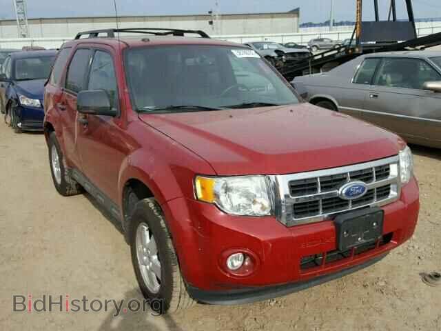 Photo 1FMCU0D77BKC09568 - FORD ESCAPE 2011
