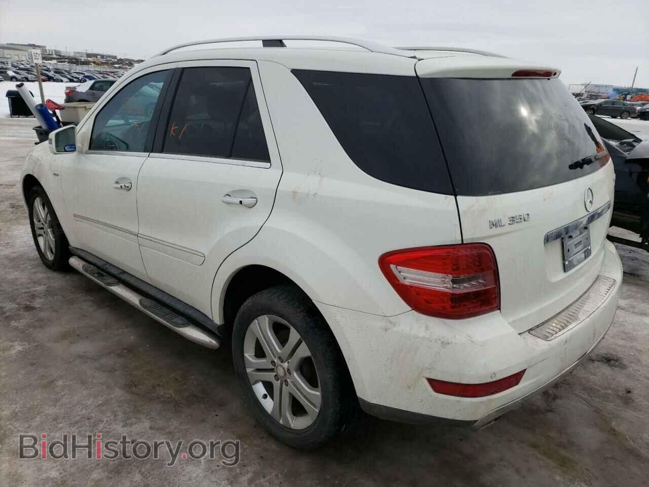 2011 MERCEDES-BENZ M-CLASS - VIN: 4JGBB2FBXBA633136 - Фото 3