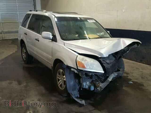 Фотография 5FNYF18525B064802 - HONDA PILOT 2005