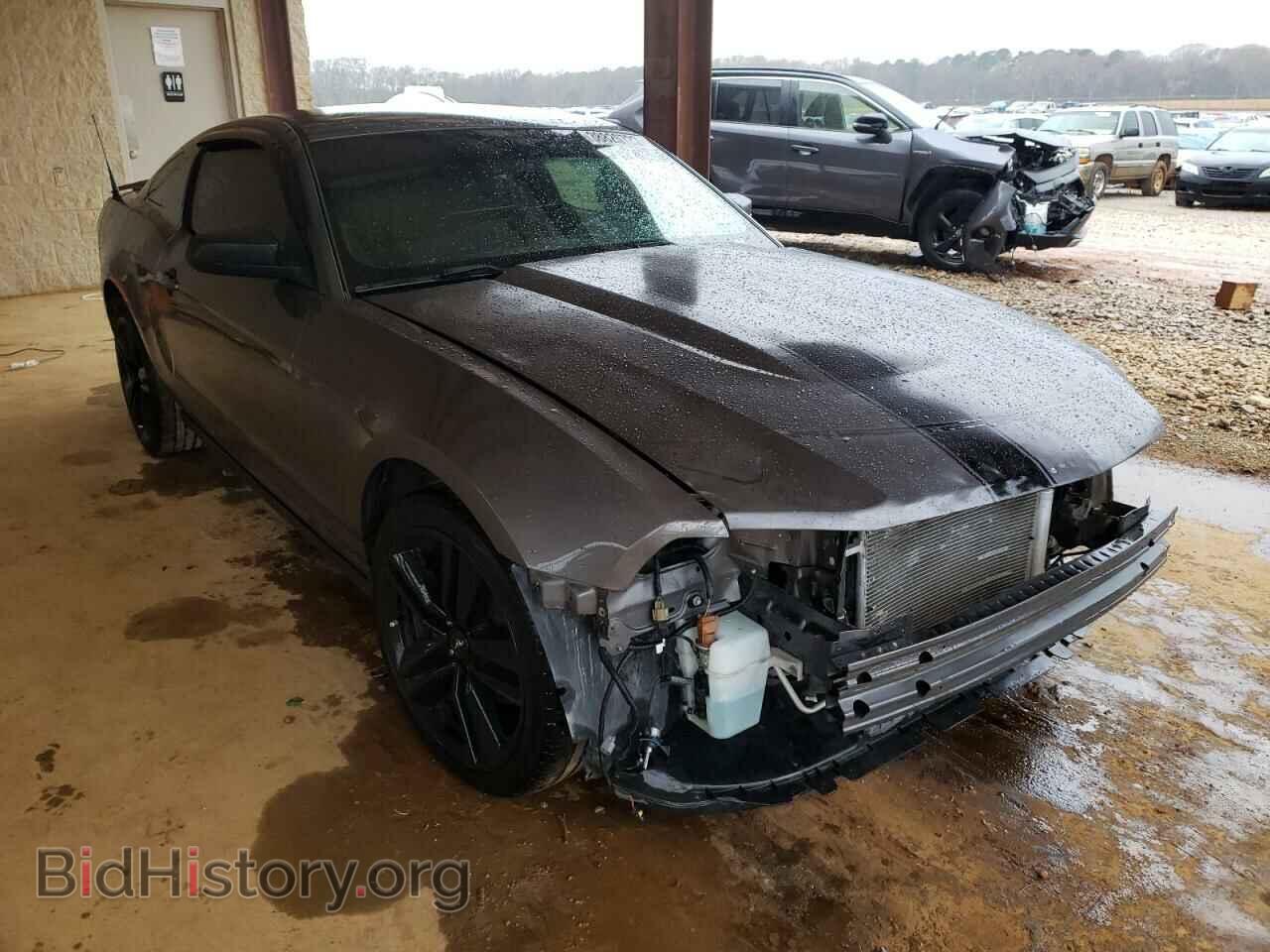 Photo 1ZVBP8AM9B5146551 - FORD MUSTANG 2011
