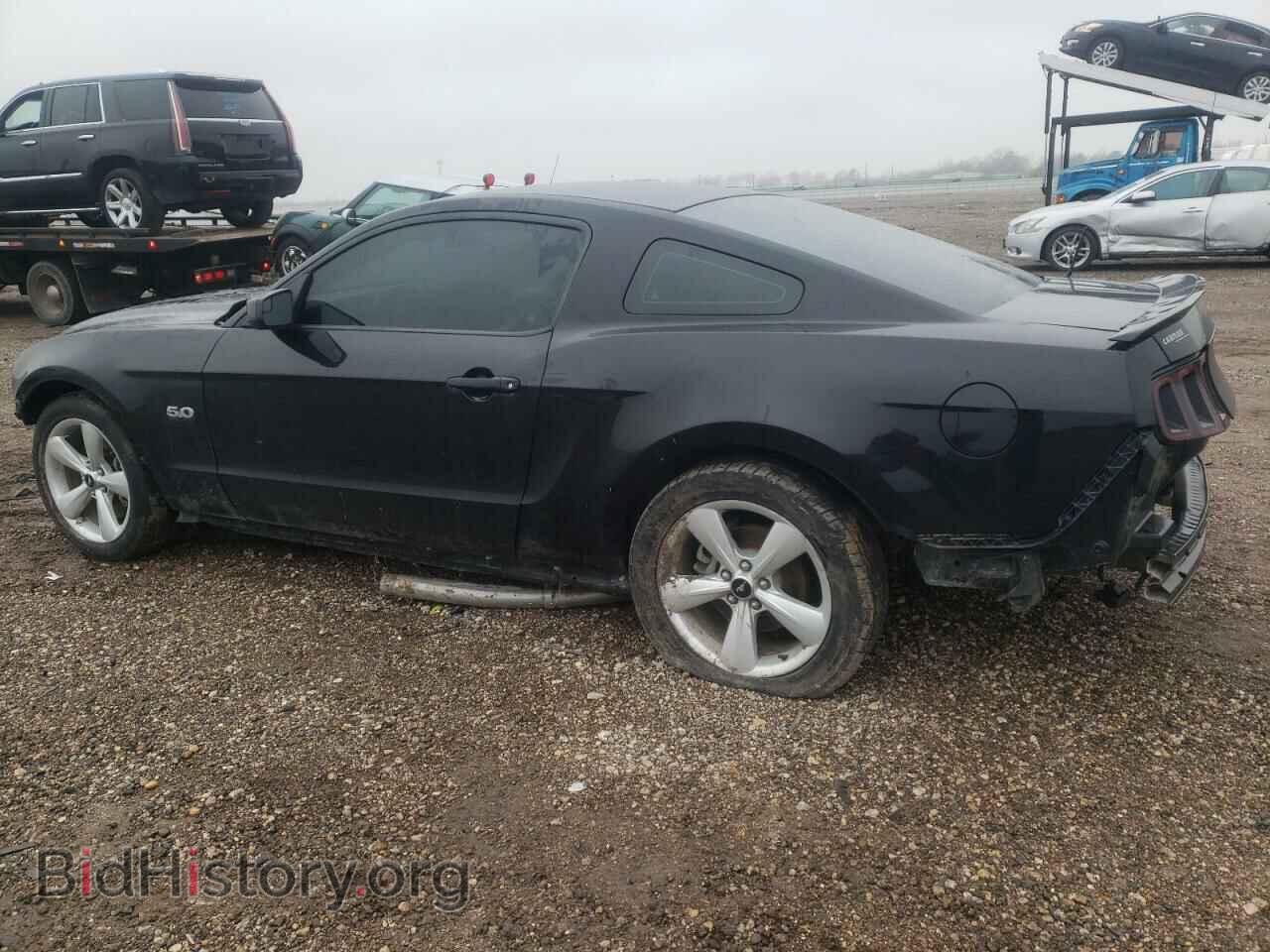2013 FORD MUSTANG - VIN: 1ZVBP8CF8D5227686 - Фото 2