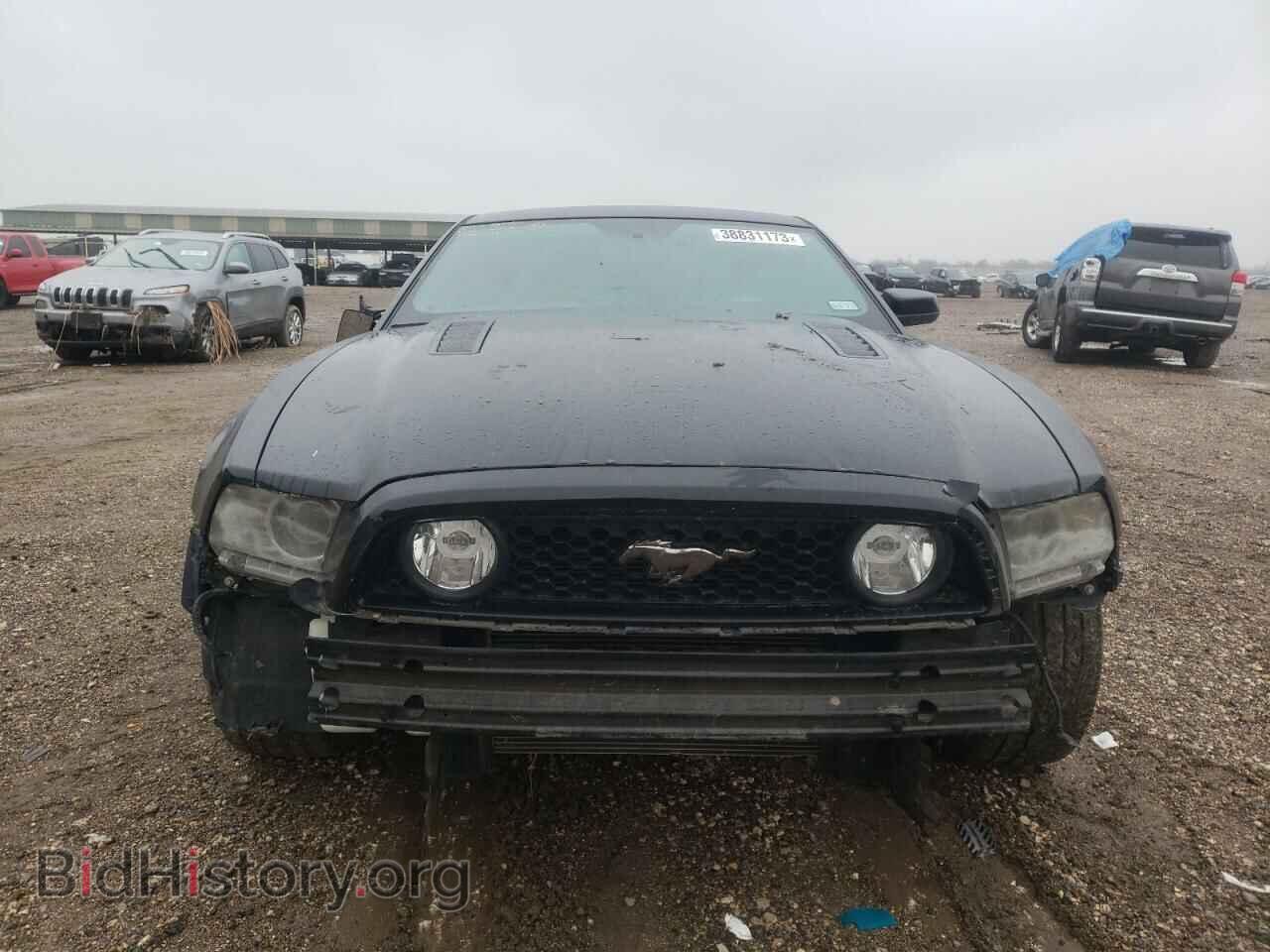 2013 FORD MUSTANG - VIN: 1ZVBP8CF8D5227686 - Фото 5