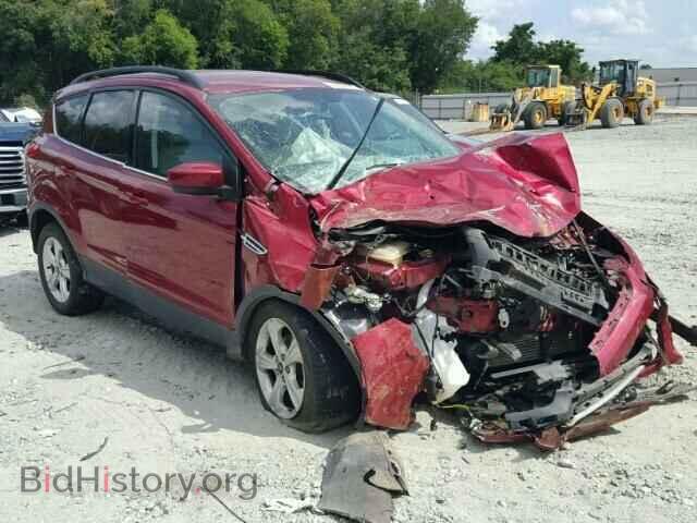 Фотография 1FMCU0GX9EUA89390 - FORD ESCAPE 2014