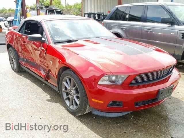 Фотография 1ZVBP8EM1B5157120 - FORD MUSTANG 2011