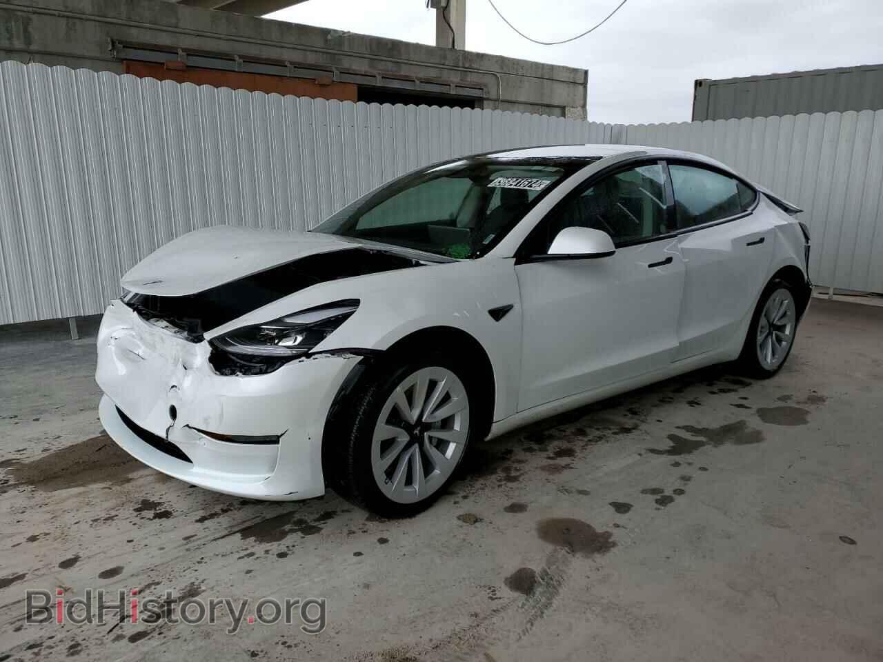 Фотография 5YJ3E1EA3PF438366 - TESLA MODEL 3 2023