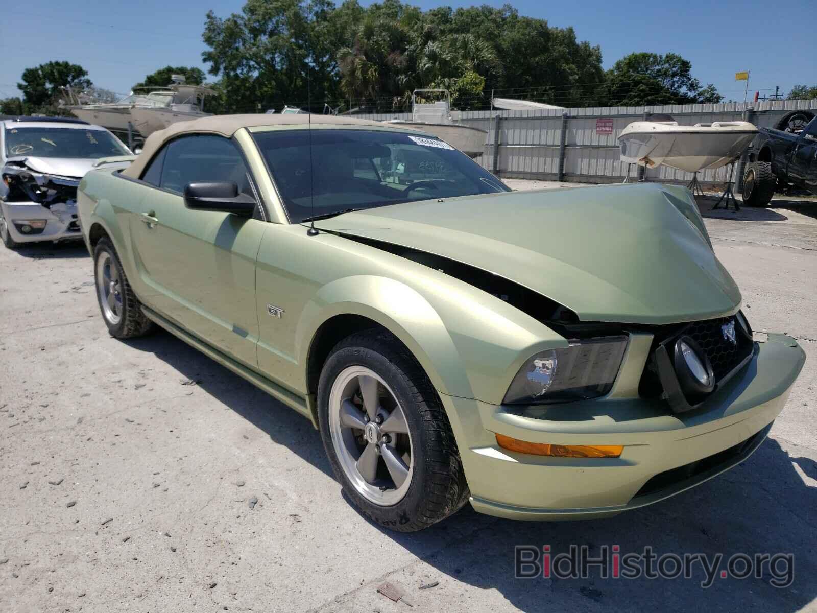 Photo 1ZVFT85H165136225 - FORD MUSTANG 2006