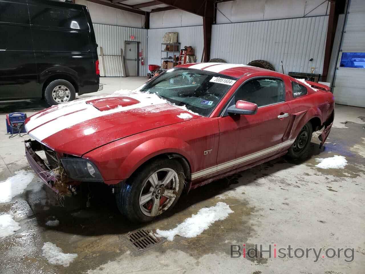 Photo 1ZVHT82H685202252 - FORD MUSTANG 2008