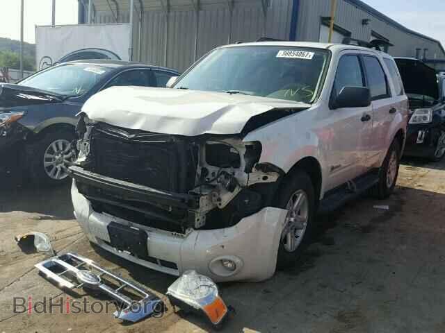 2009 FORD ESCAPE - VIN: 1FMCU49329KA35688 - Фото 2