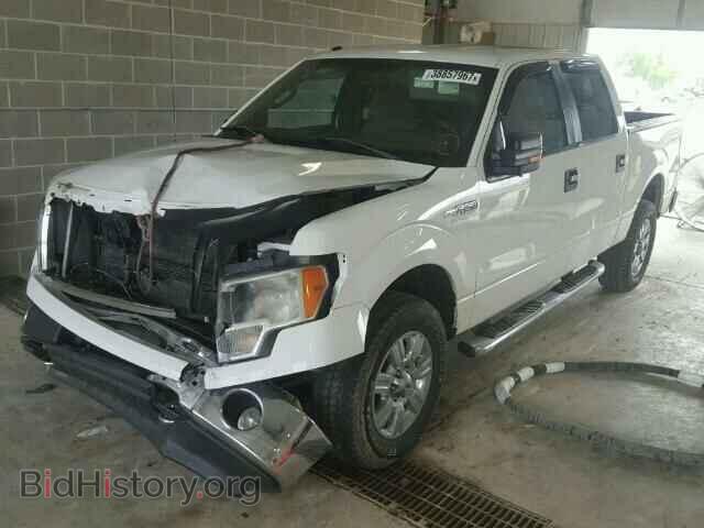 2011 FORD F150 - VIN: 1FTFW1EF5BFB98540 - Фото 2