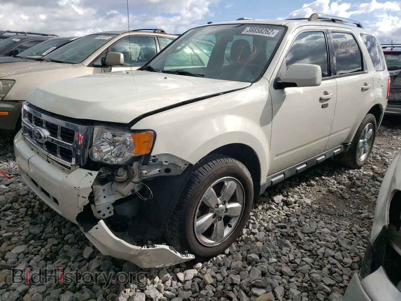 2011 FORD ESCAPE - VIN: 1FMCU9EG6BKB70149 - Фото 2
