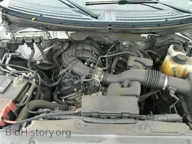 2013 FORD F150 - VIN: 1FTMF1EM3DFD21888 - Фото 7