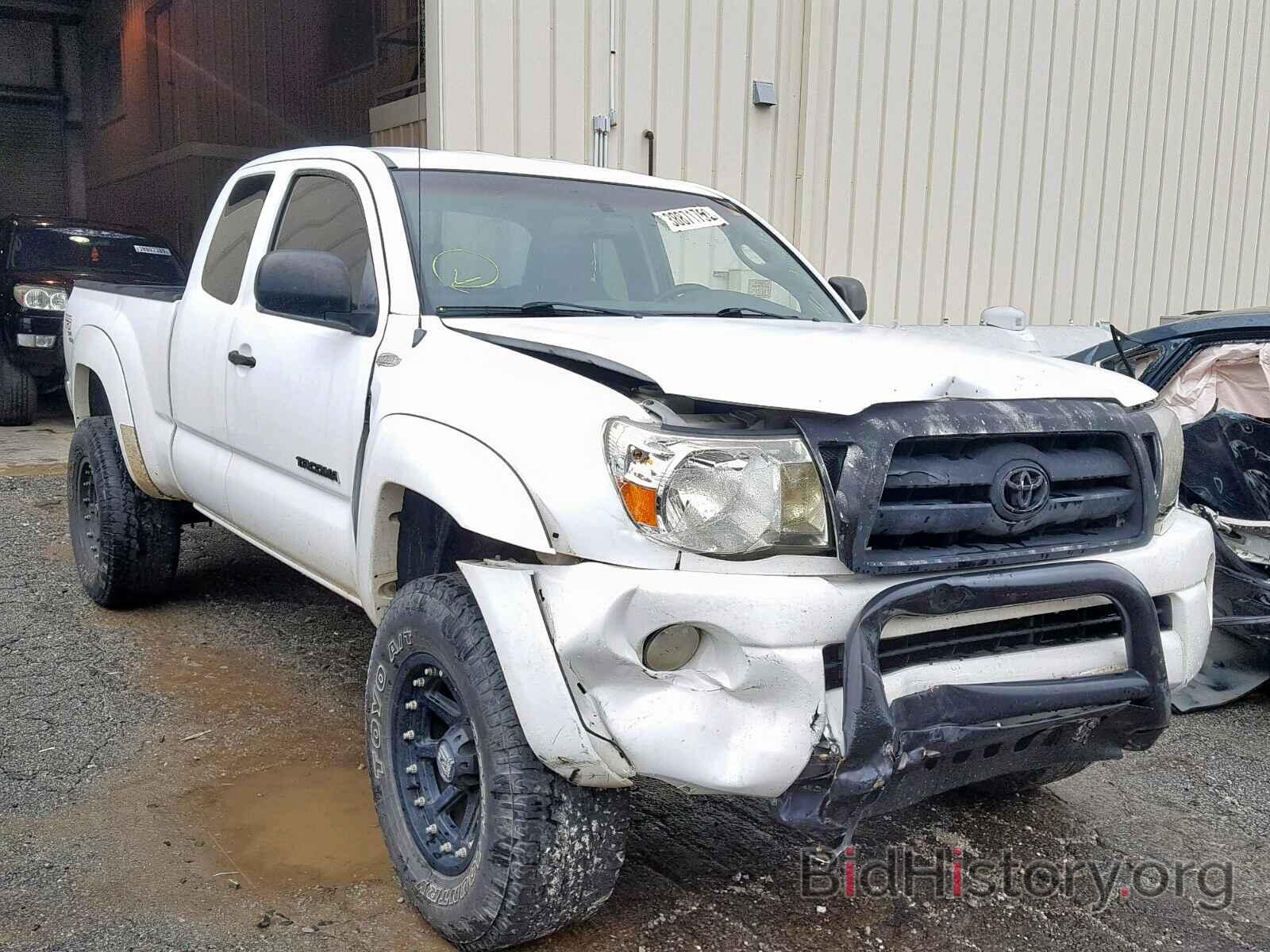 Фотография 5TETU62N55Z020698 - TOYOTA TACOMA PRE 2005