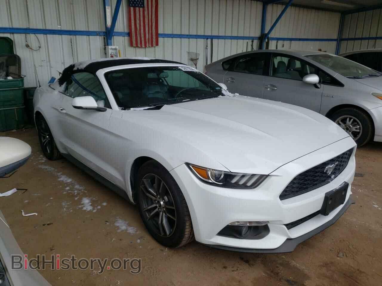2017 FORD ALL Models - VIN: 1FATP8UH9H5281730 - Photo 4
