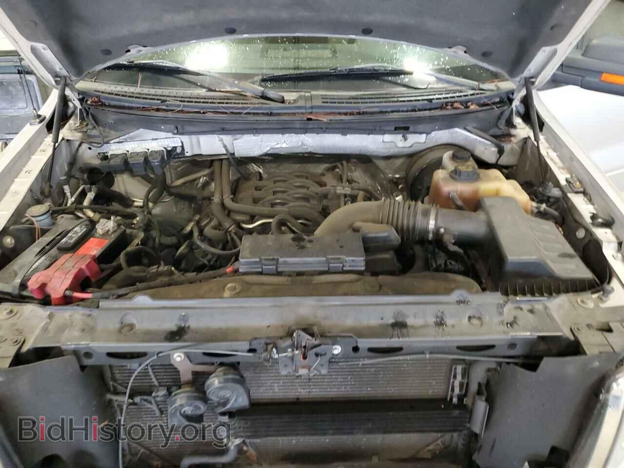 2011 FORD F-150 - VIN: 1FTFX1CF2BFA34033 - Фото 11