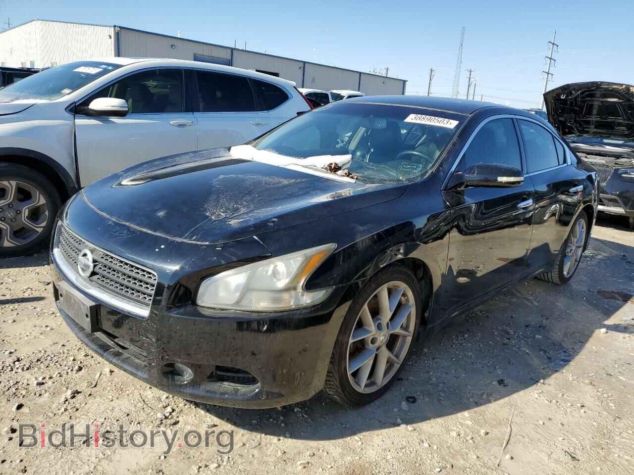 Фотография 1N4AA5AP1BC807340 - NISSAN MAXIMA 2011