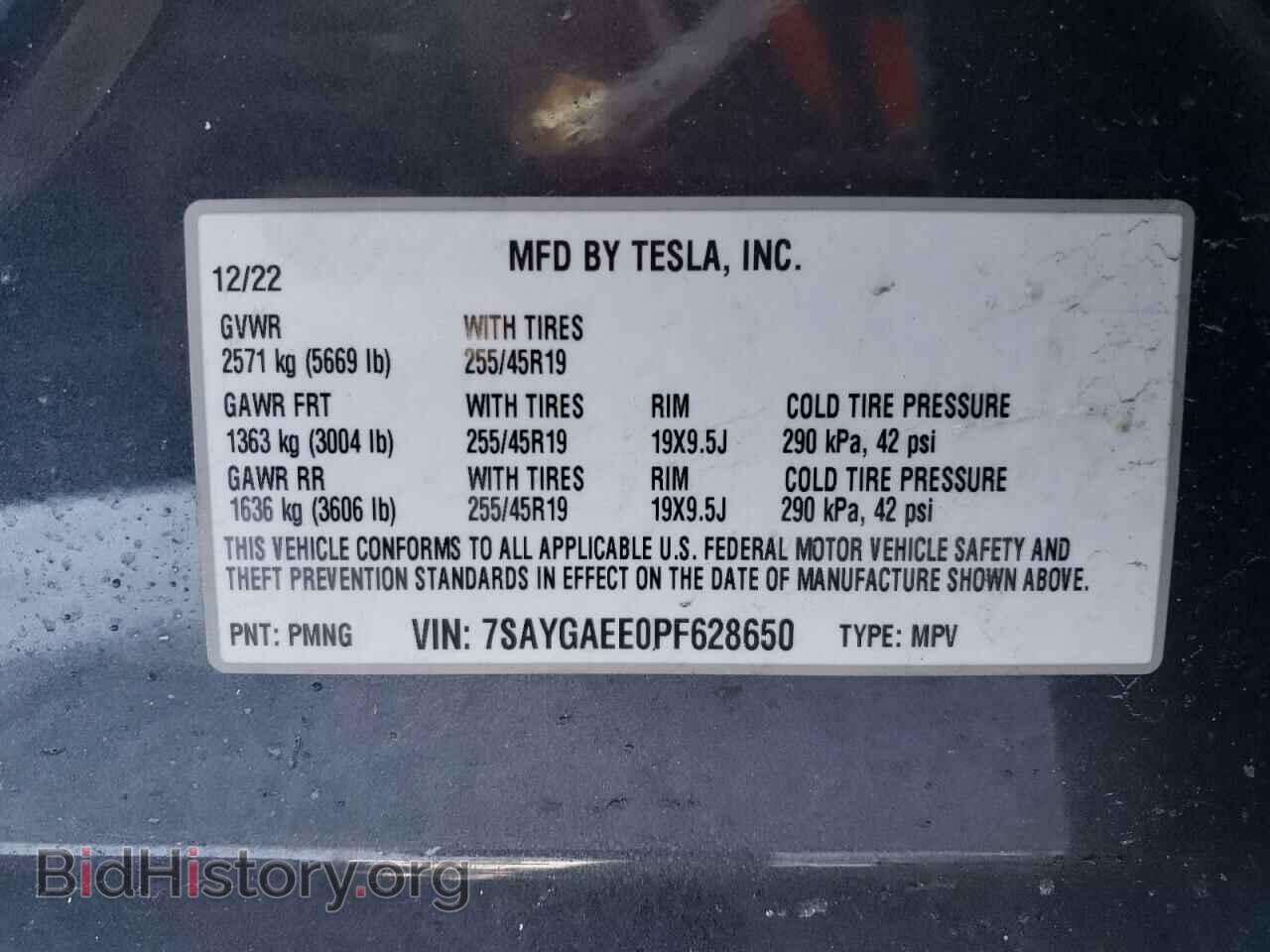2023 TESLA MODEL Y - VIN: 7SAYGAEE0PF628650 - Фото 12