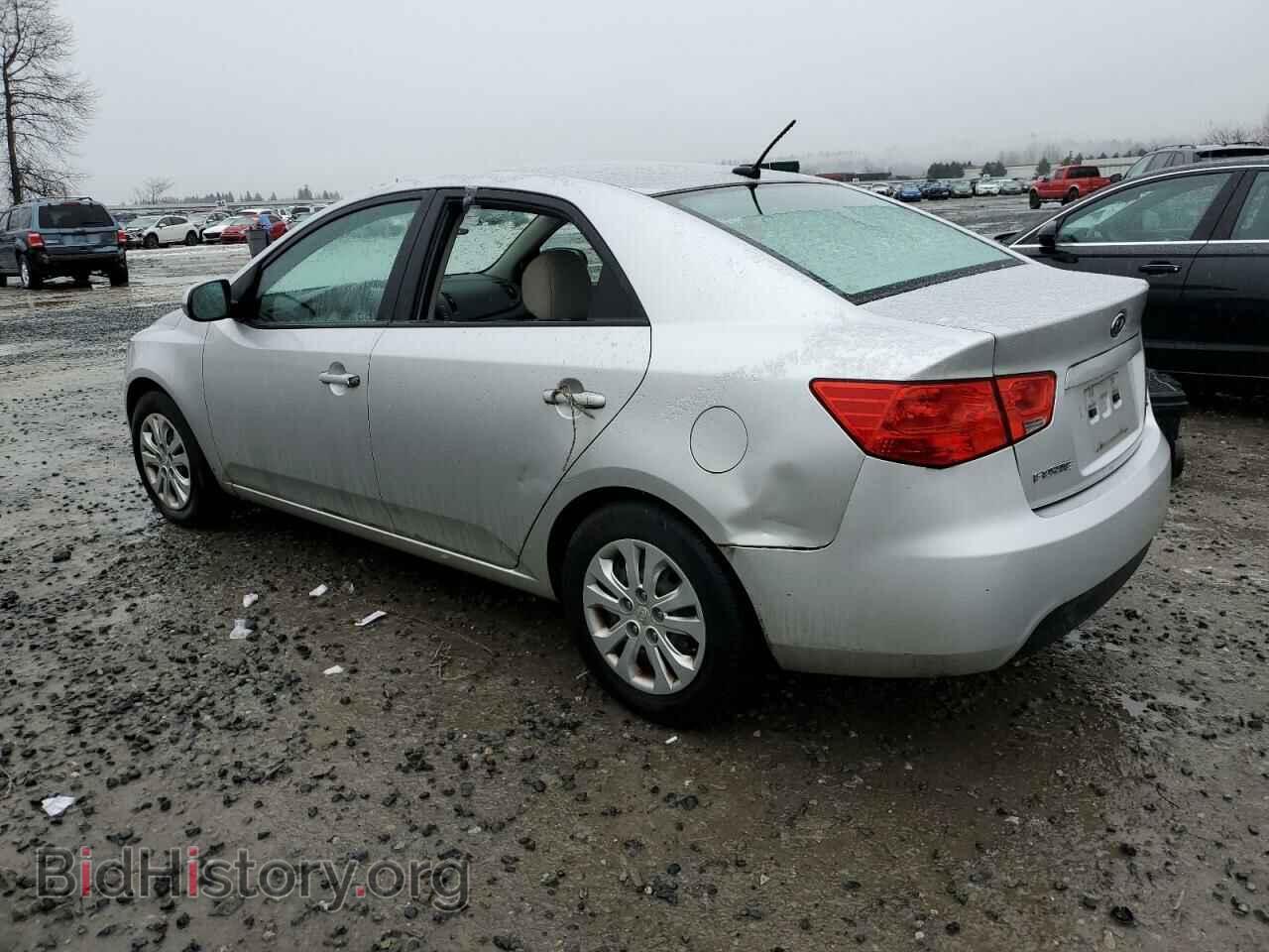 2011 KIA FORTE - VIN: KNAFU4A2XB5373653 - Фото 2