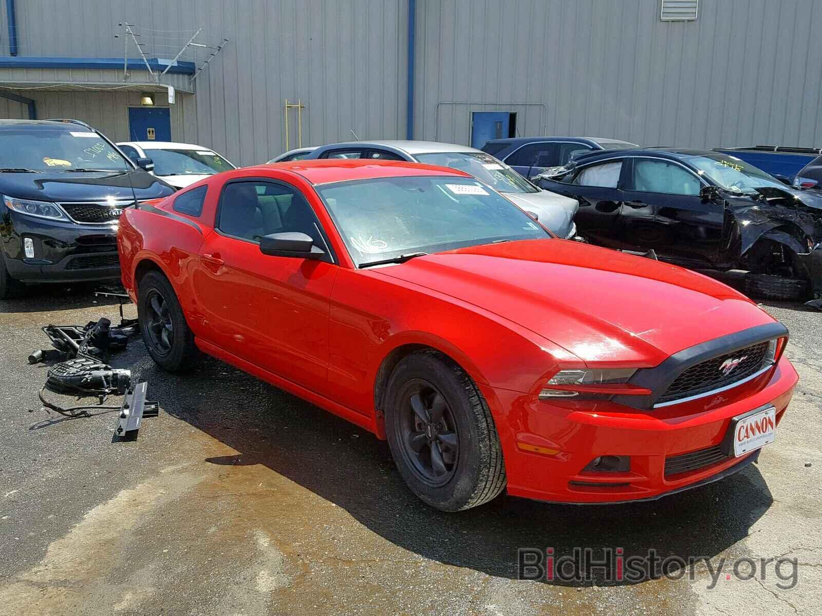 Photo 1ZVBP8AM4D5273811 - FORD MUSTANG 2013