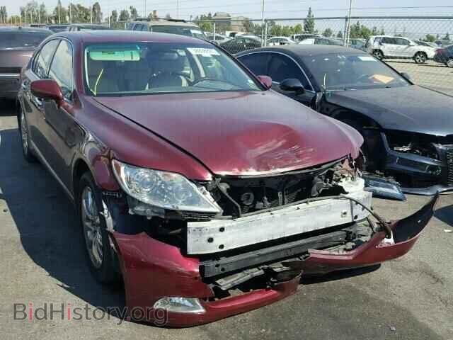 Фотография JTHBL46FX85057161 - LEXUS LS460 2008