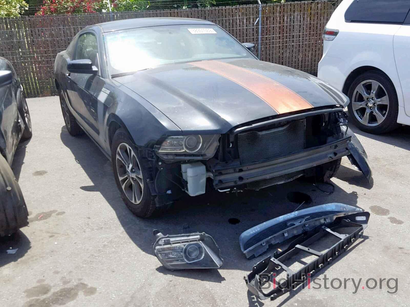 Photo 1ZVBP8AM1E5289420 - FORD MUSTANG 2014