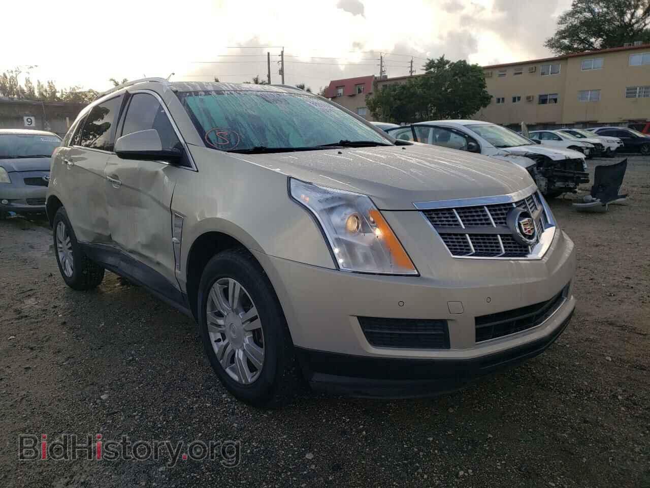 Фотография 3GYFNAE38CS501570 - CADILLAC SRX 2012