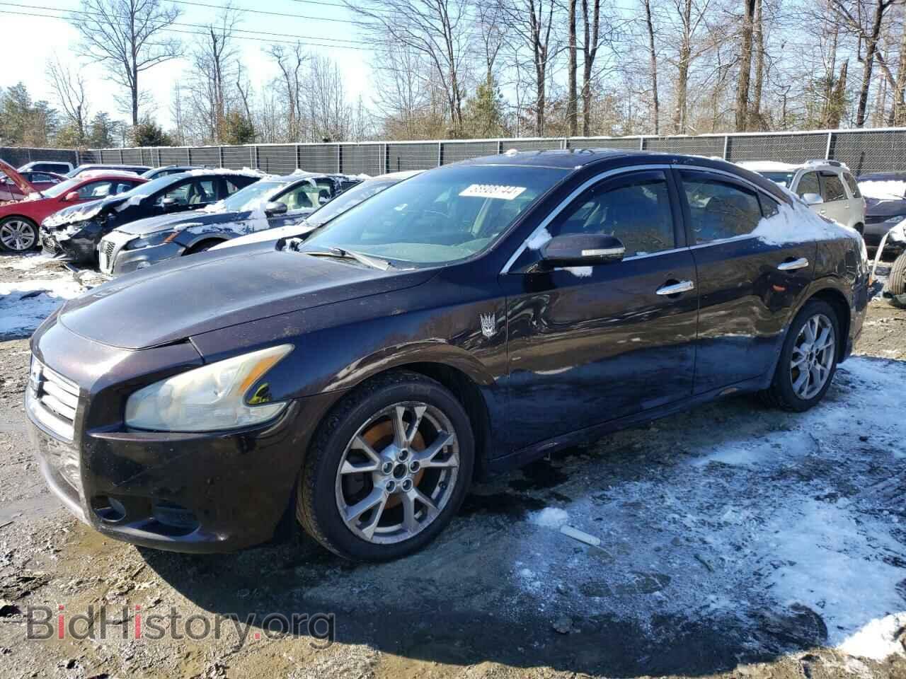 Photo 1N4AA5AP8CC808034 - NISSAN MAXIMA 2012