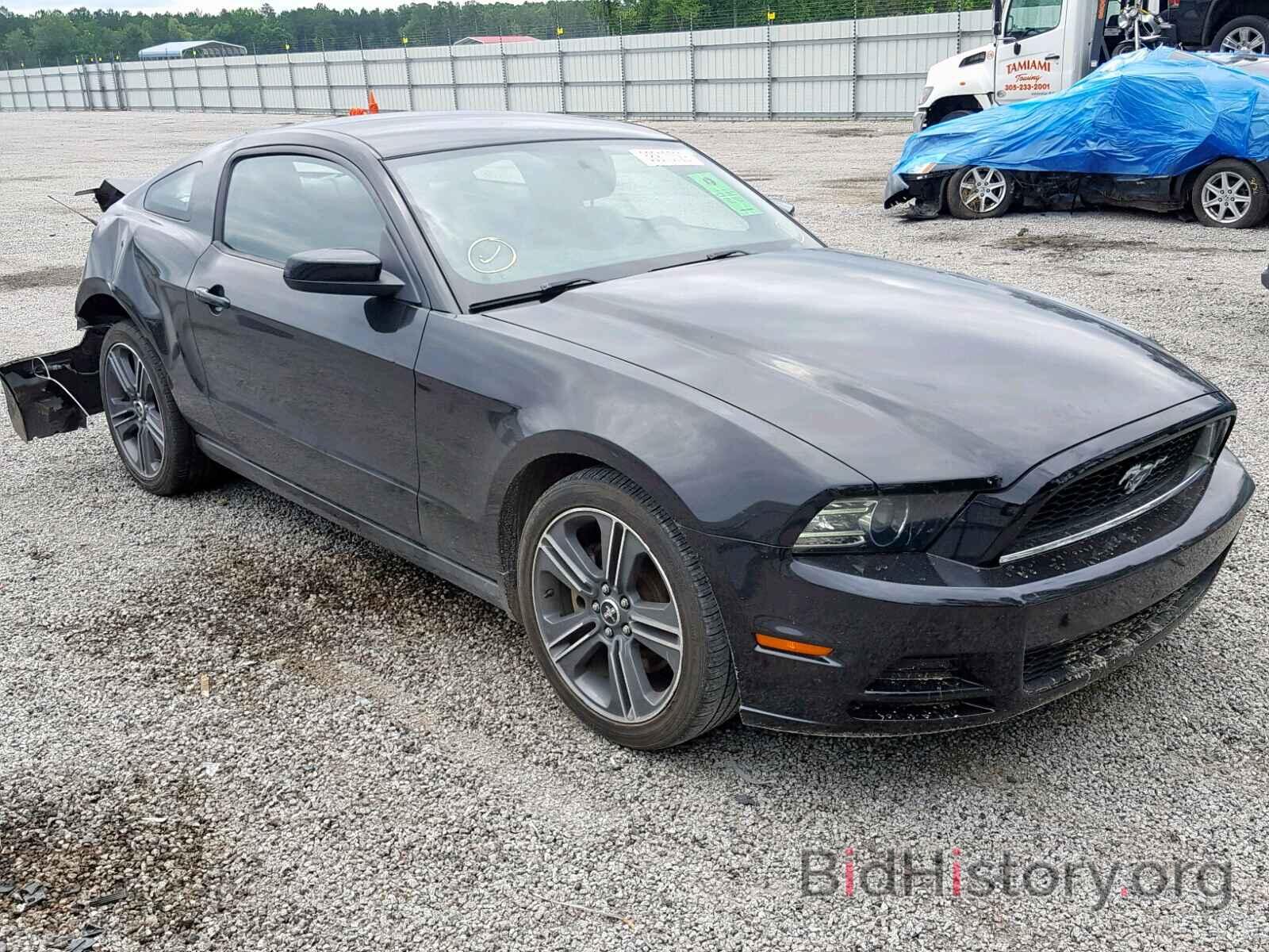 Photo 1ZVBP8AM8D5277229 - FORD MUSTANG 2013