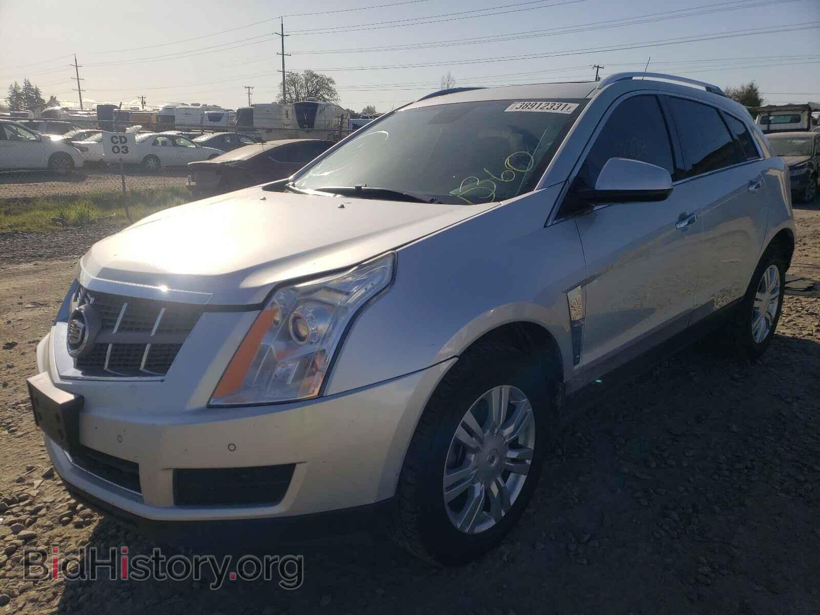 2011 CADILLAC SRX - VIN: 3GYFNDEY3BS529563 - Фото 2