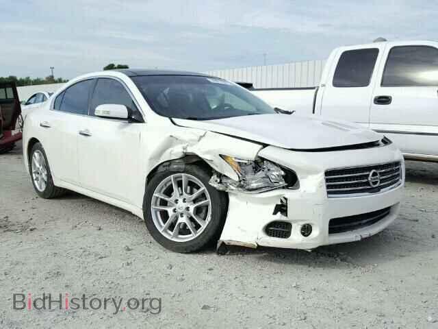 Фотография 1N4AA5AP8AC827017 - NISSAN MAXIMA 2010