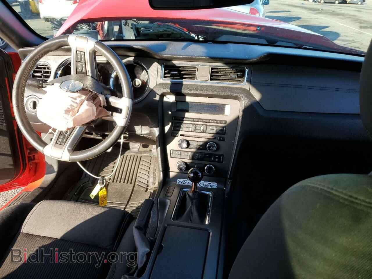 2013 FORD MUSTANG - VIN: 1ZVBP8CF8D5229101 - Фото 8