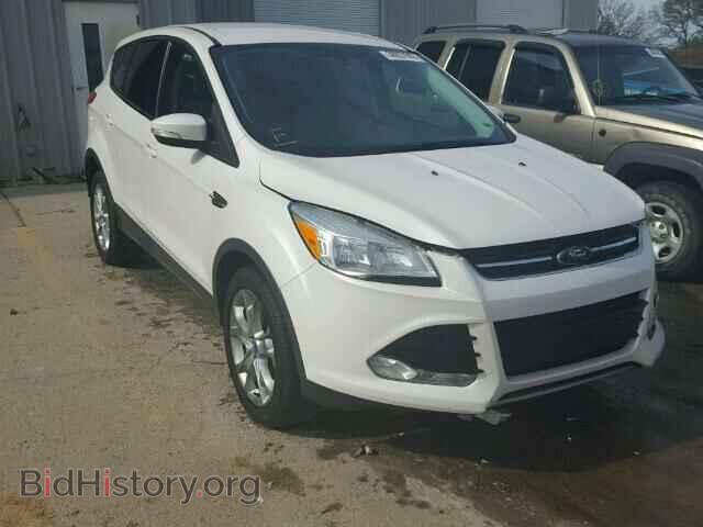 Фотография 1FMCU0H99DUC36659 - FORD ESCAPE 2013