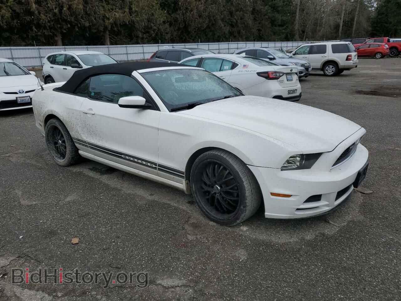 2013 FORD MUSTANG - VIN: 1ZVBP8EM8D5239588 - Фото 4