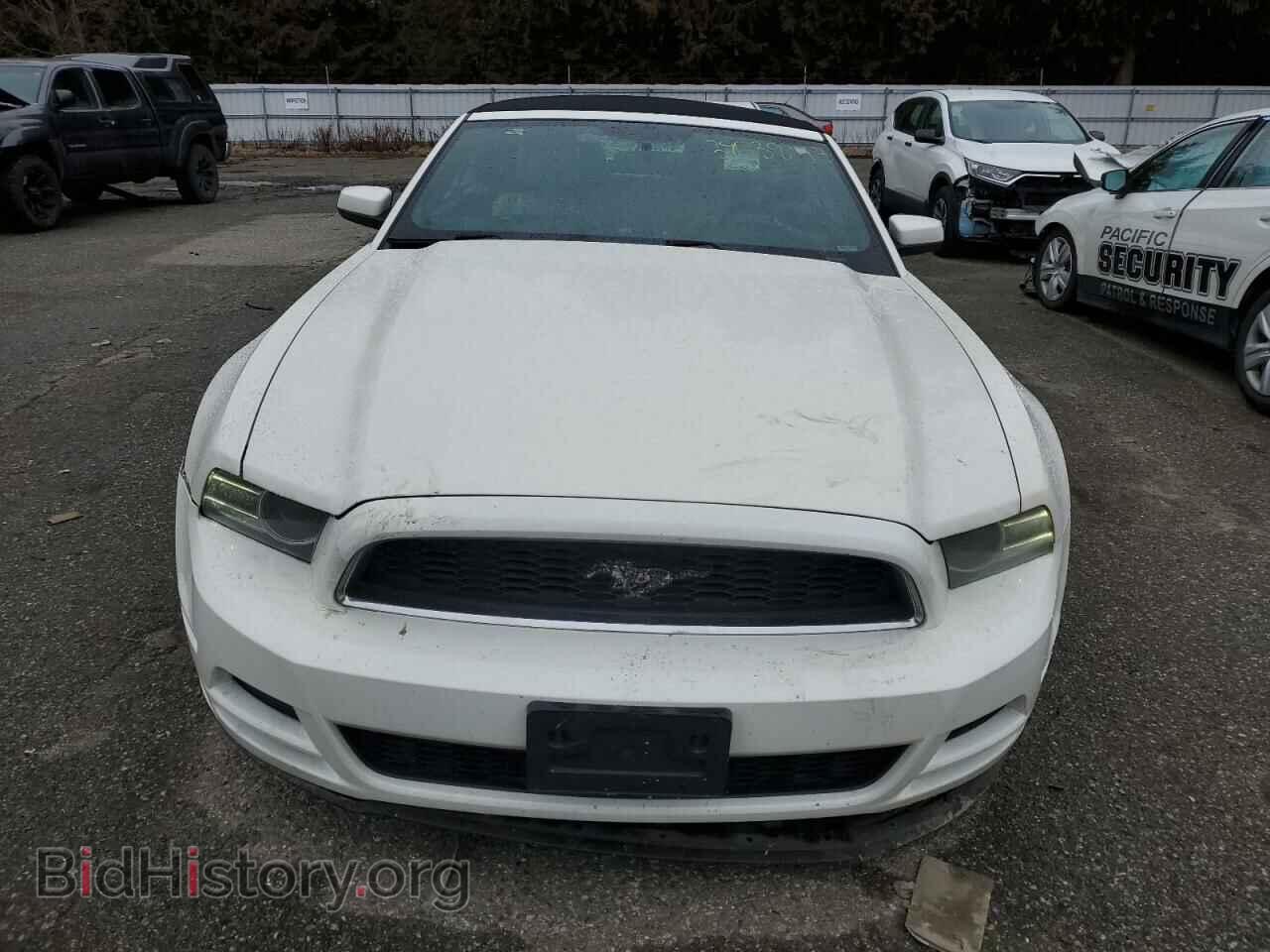2013 FORD MUSTANG - VIN: 1ZVBP8EM8D5239588 - Фото 5