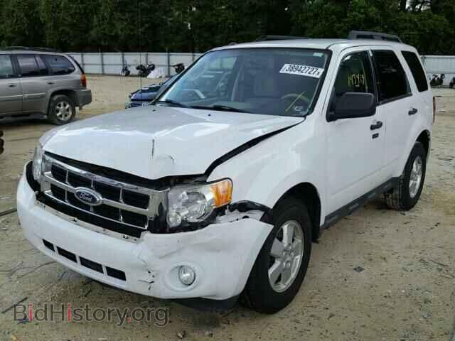 2011 FORD ESCAPE - VIN: 1FMCU0DG3BKA87369 - Фото 2