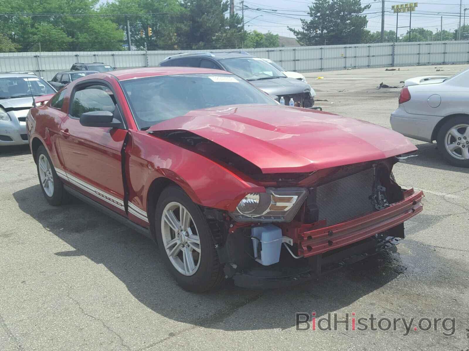 Photo 1ZVBP8AM8C5281196 - FORD MUSTANG 2012