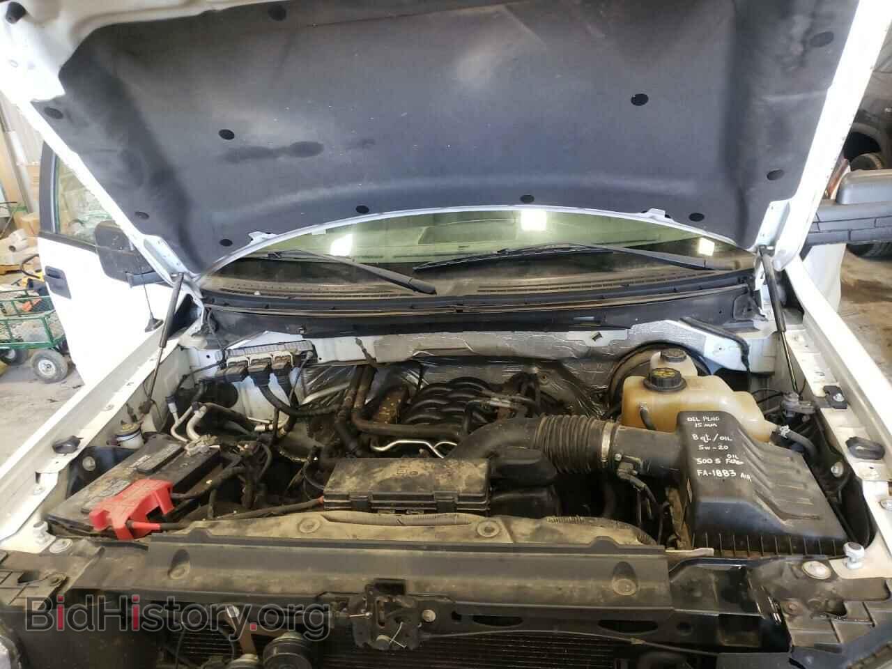 2013 FORD F150 - VIN: 1FTNF1CF5DKE07090 - Фото 7