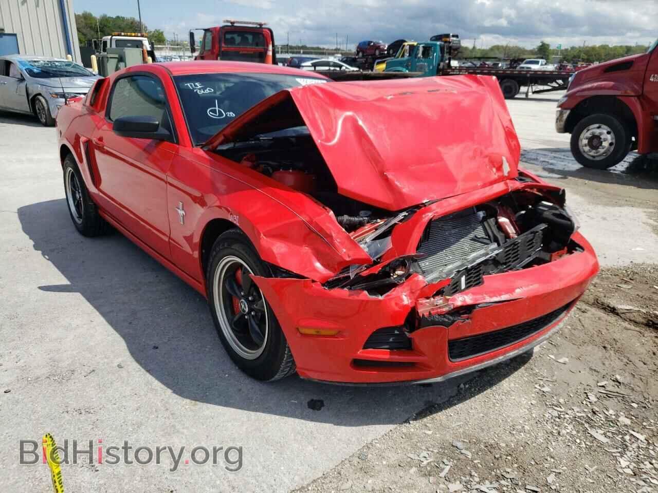 Фотография 1ZVBP8AM4D5209607 - FORD MUSTANG 2013