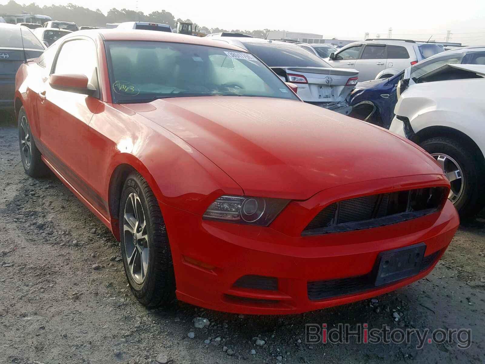 Photo 1ZVBP8AM6E5240441 - FORD MUSTANG 2014