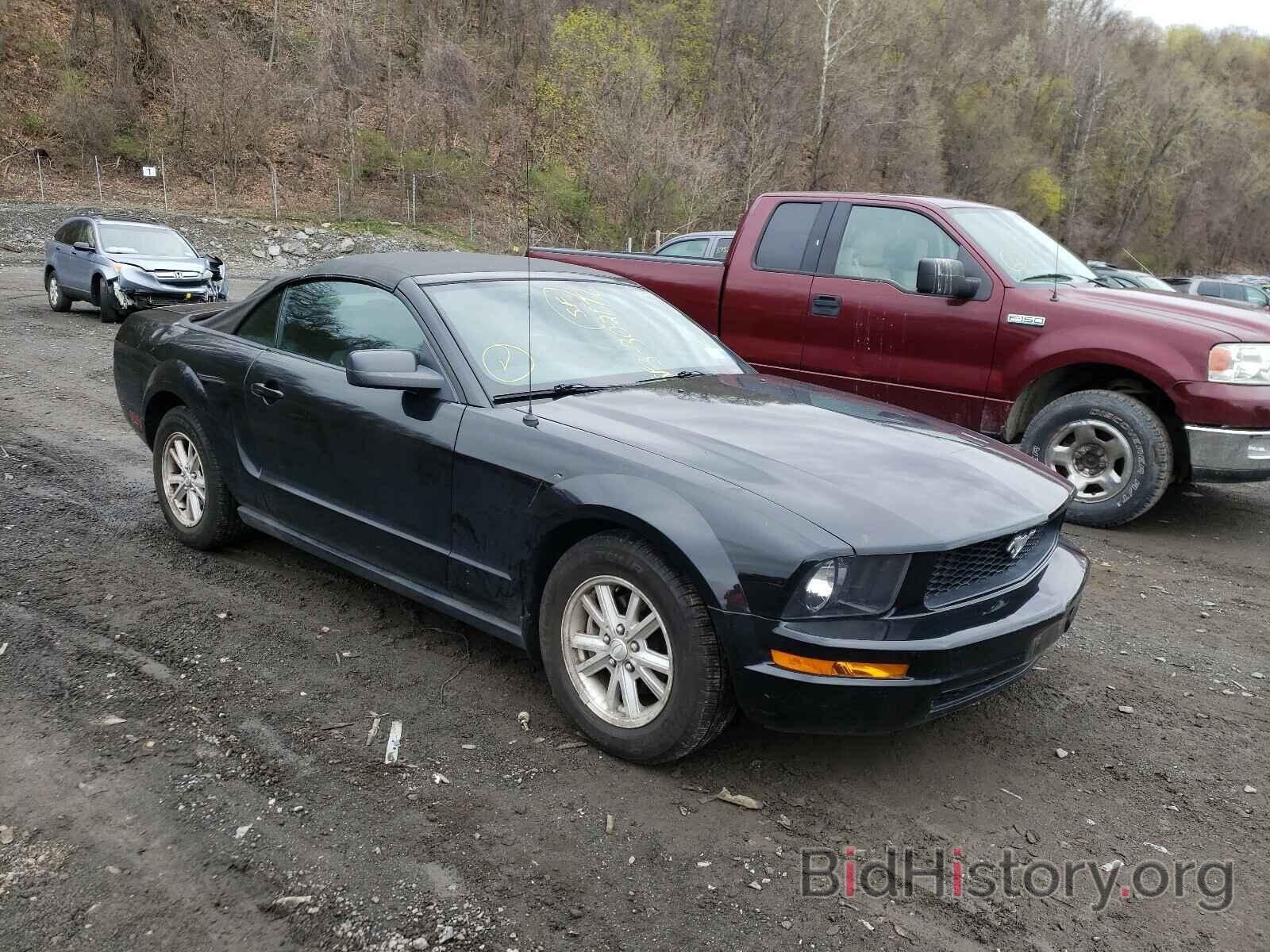 Photo 1ZVHT84N785190888 - FORD MUSTANG 2008