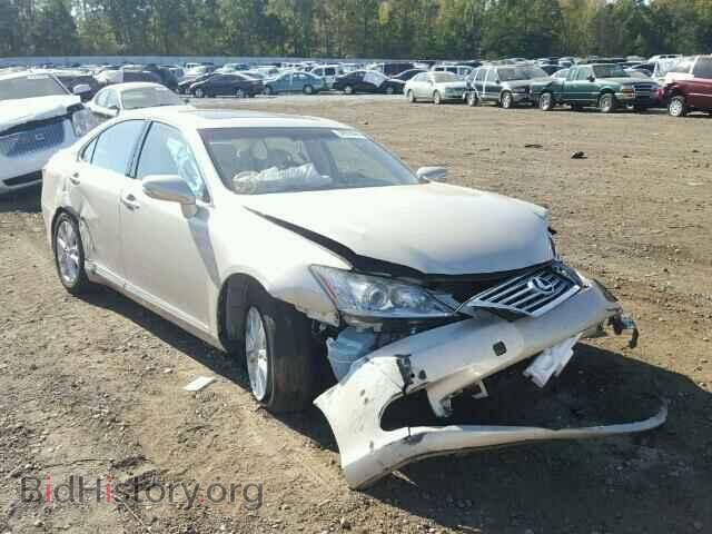 Photo JTHBK1EG9A2384749 - LEXUS ES350 2010