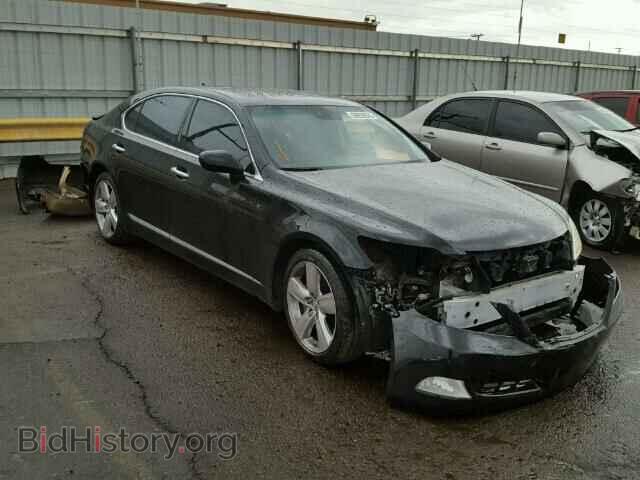 Фотография JTHGL46F085023316 - LEXUS LS460 2008