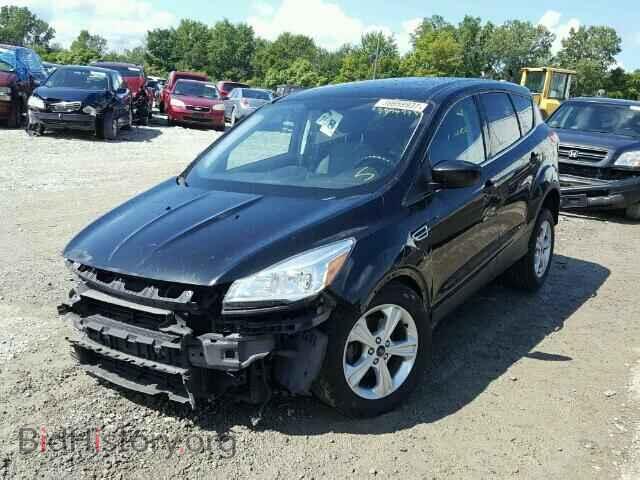 2013 FORD ESCAPE - VIN: 1FMCU0GX2DUD11637 - Фото 2