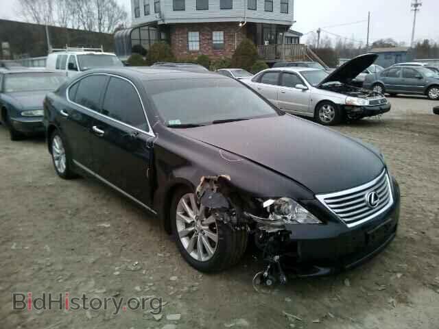 Фотография JTHCL5EF5A5005437 - LEXUS LS460 2010