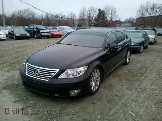 2010 LEXUS LS460 - VIN: JTHCL5EF5A5005437 - Фото 2