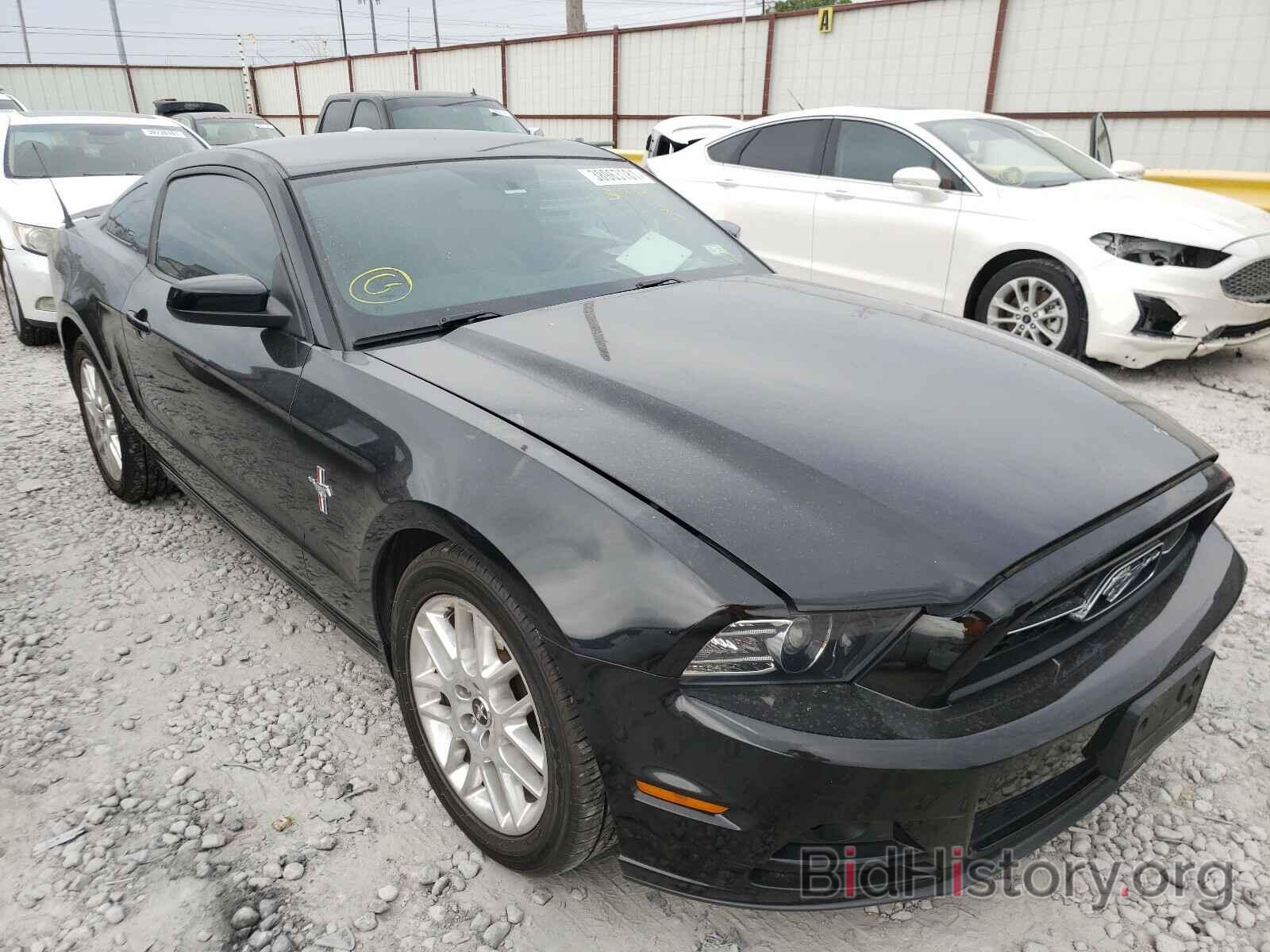 Photo 1ZVBP8AM9E5309431 - FORD MUSTANG 2014